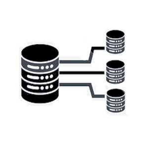 Database Architecture